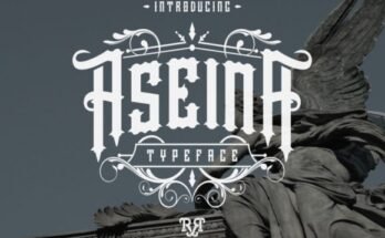 Aseina Font