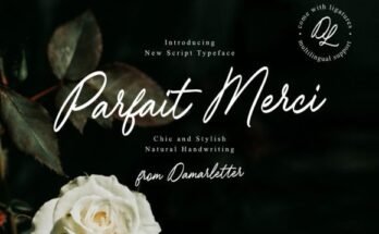 The Top Parfait Merci Font