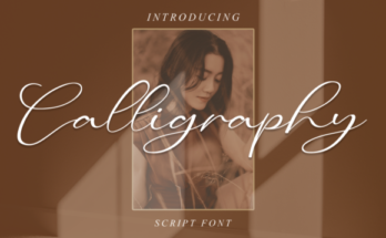 The Top Calligraphy Font