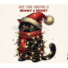 Funny Christmas Animal Christmas Png
