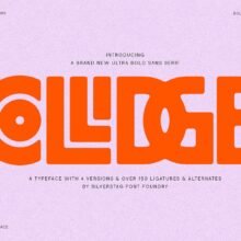 Collidge - Bold Ligature Rich Font