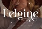Felgine Ligature Serif Font