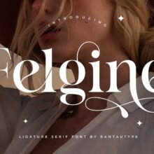 Felgine Ligature Serif Font