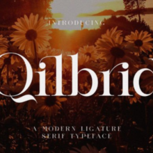 Qilbrid Font Free Download Untitled design – 2025-11-28T202725.349