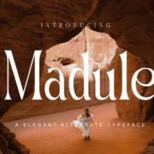 This is Madule Font Untitled design (91)