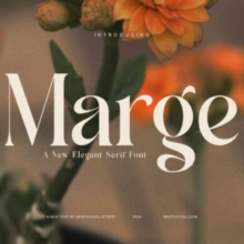 I also design logos, labels, Fonts, Mockups, packaging, flyers, posters, Book covers, and brochures. Business card, Social media post, etc. Let’s talk about your projects. (2)