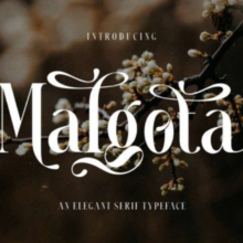 Untitled design – 2025-11-30T133826.423