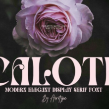 Untitled design – 2025-12-03T173944.020