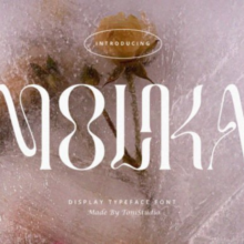 Untitled design – 2025-12-19T225957.140