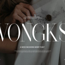 The Vongks Font Untitled design (6)