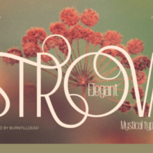 The Strova Font Download Vertical Kraft Soap Box Packaging Mockup